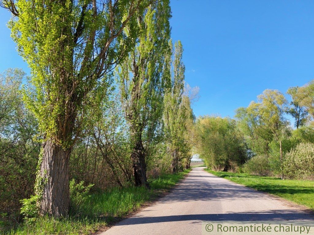 Svahovitý pozemok s krásnym výhľadom na samote blízko prírodnej rezervácie v obci Nová Vieska