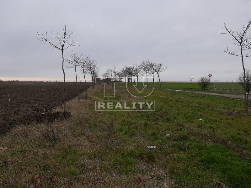 Poľnohospodársky pozemok 37,5 árov, v dosahu zastavaného územia – Mestská časť Jarovce, Bratislava
