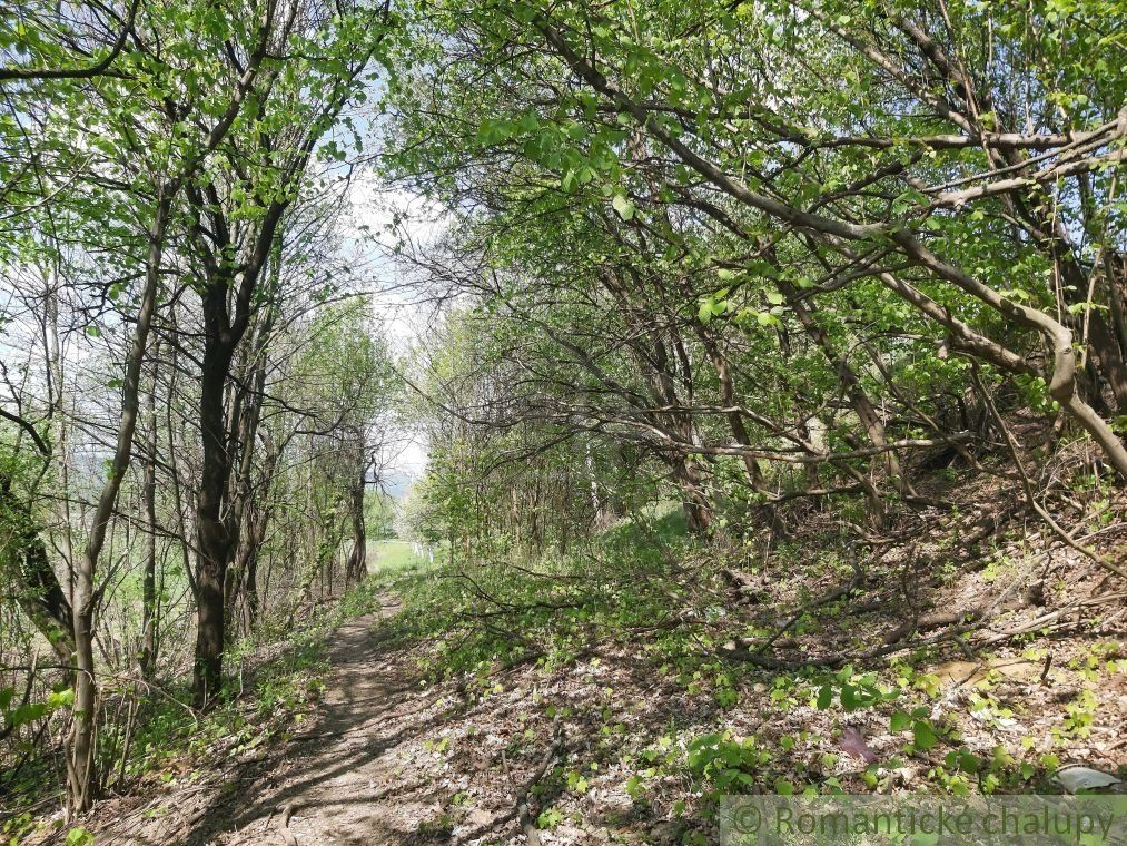 Pozemky v prírodnom prostredí na okraji obce Dolné Kočkovce na predaj