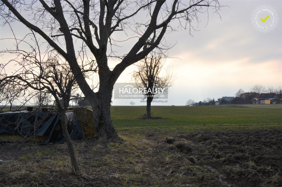 HALO reality - Predaj, rodinný dom Radošina, Bzince