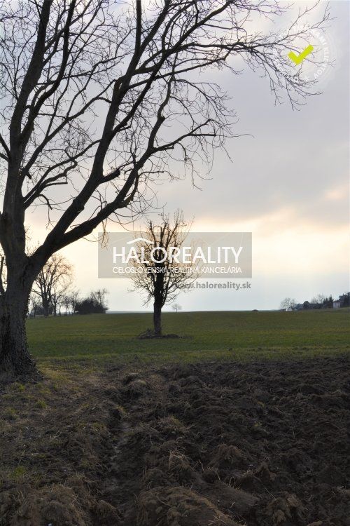 HALO reality - Predaj, rodinný dom Radošina, Bzince