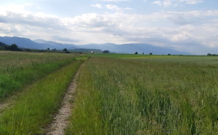 EXKLUZÍVNE orná pôda v katastri obce Mošovce