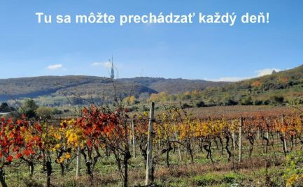 Útulný bytík vedľa vinohradov v Bratislave - Rača