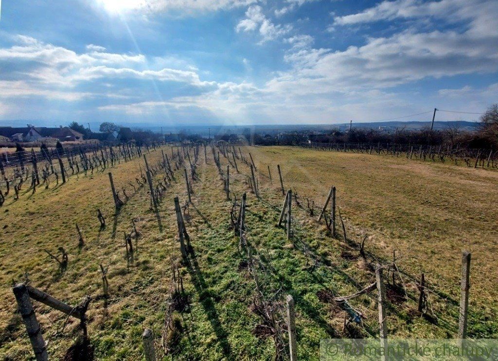 Poschodová chatka s vínnou pivnicou na vinohrade v obci Gbelce