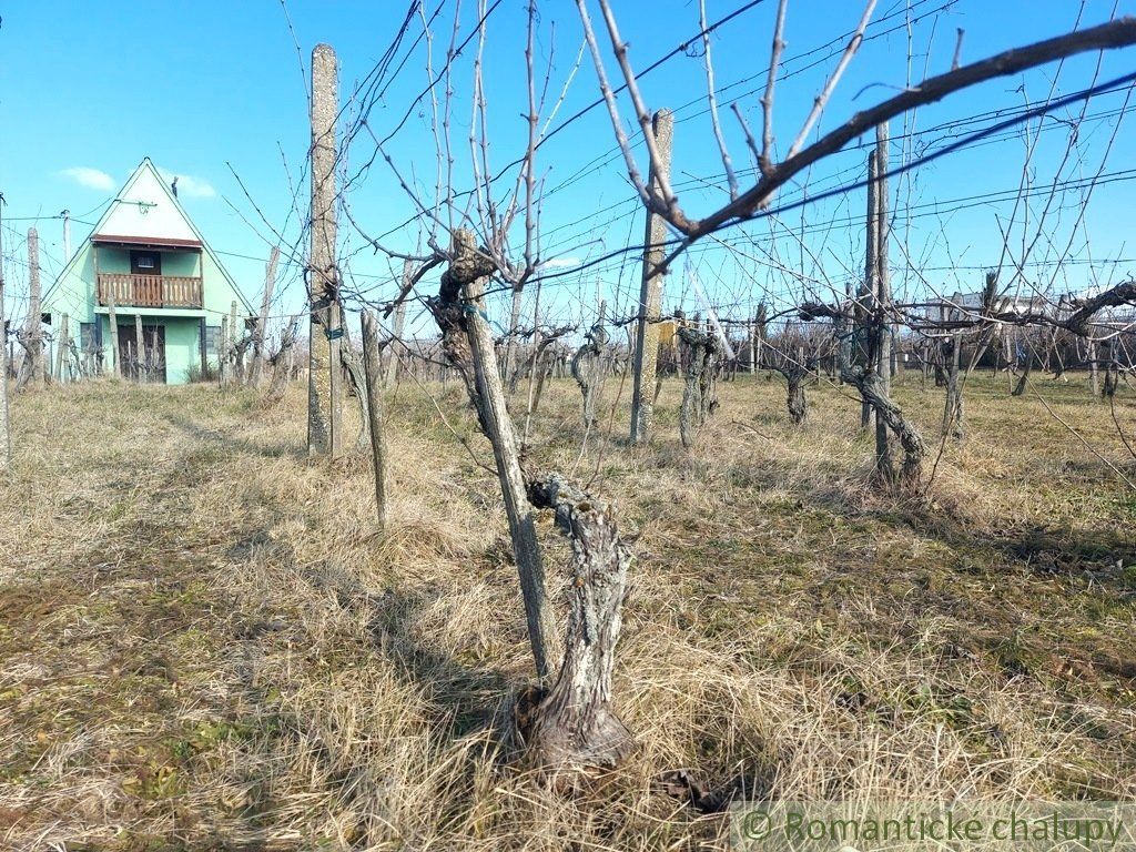 Poschodová chatka s vínnou pivnicou na vinohrade v obci Gbelce