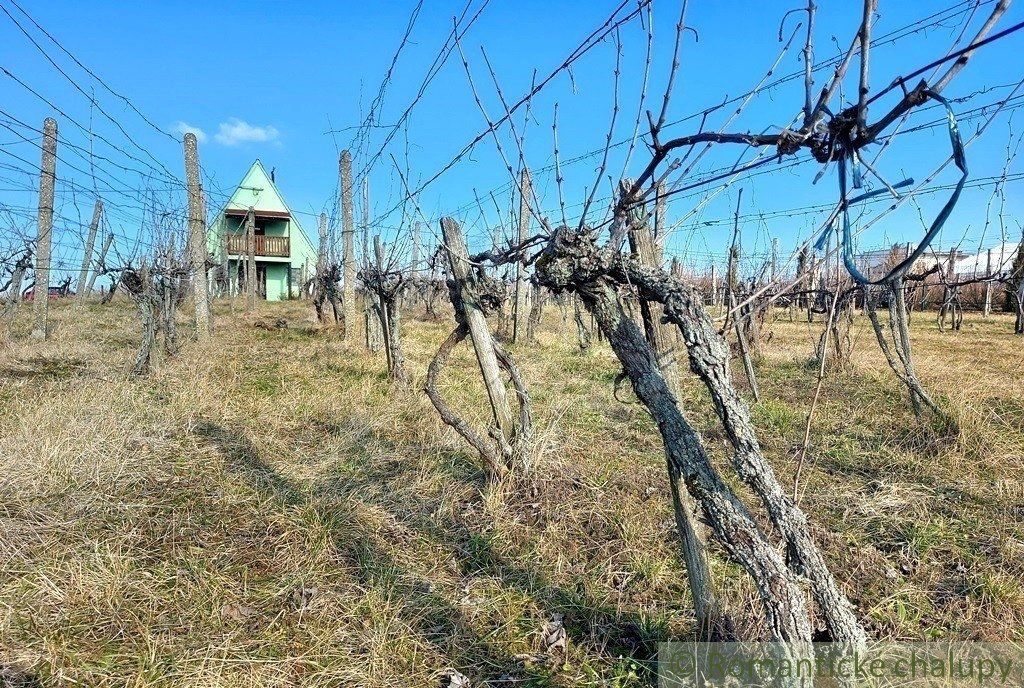 Poschodová chatka s vínnou pivnicou na vinohrade v obci Gbelce