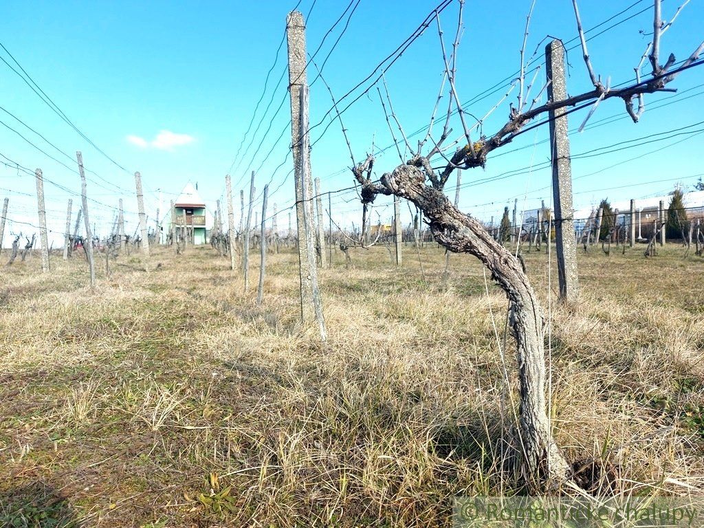 Poschodová chatka s vínnou pivnicou na vinohrade v obci Gbelce