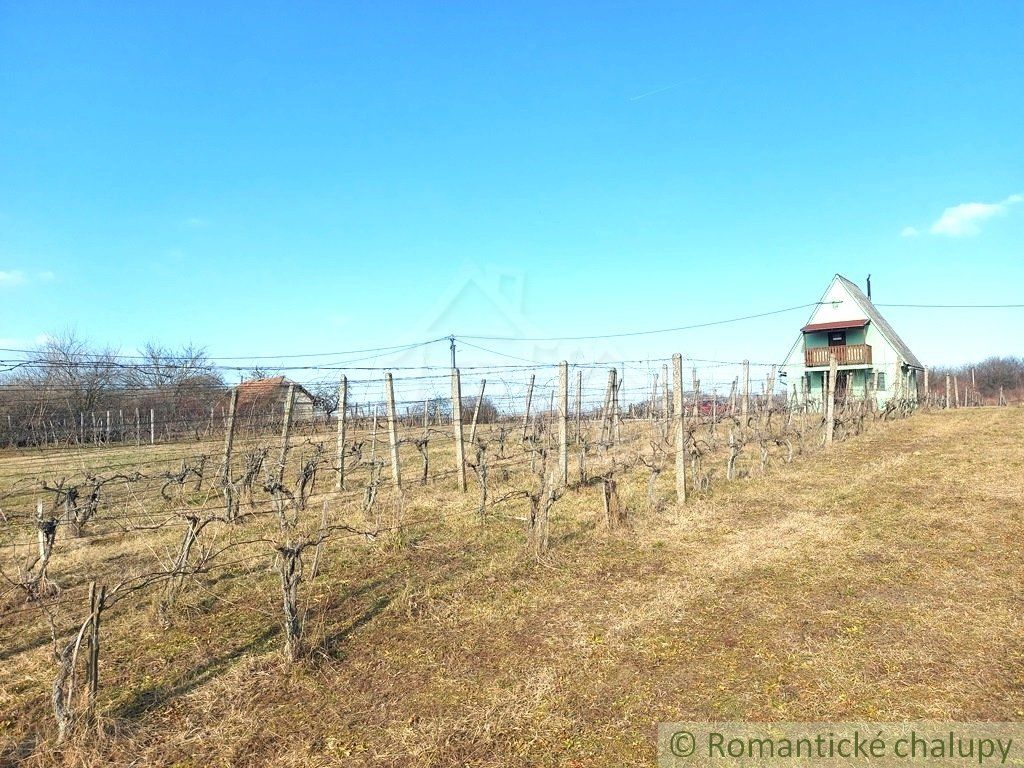 Poschodová chatka s vínnou pivnicou na vinohrade v obci Gbelce