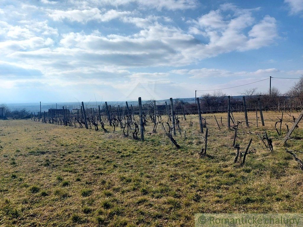 Poschodová chatka s vínnou pivnicou na vinohrade v obci Gbelce