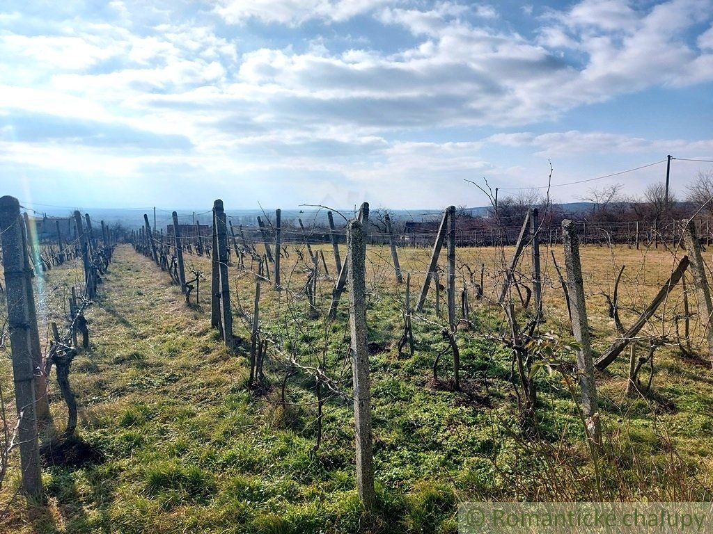 Poschodová chatka s vínnou pivnicou na vinohrade v obci Gbelce