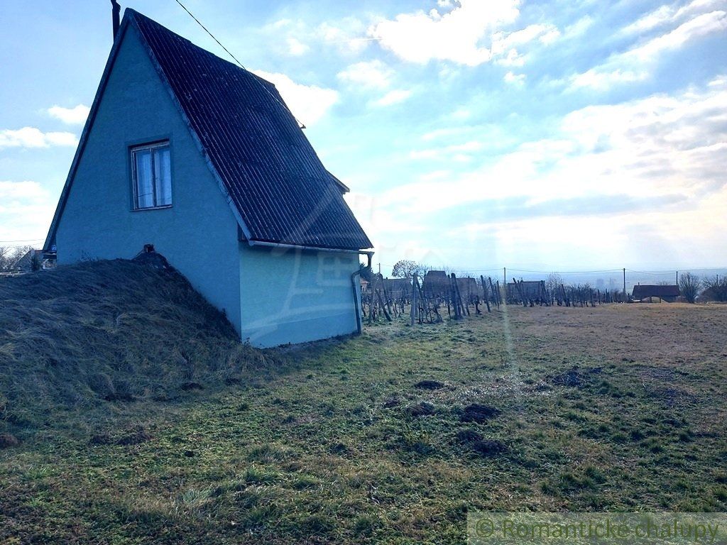 Poschodová chatka s vínnou pivnicou na vinohrade v obci Gbelce