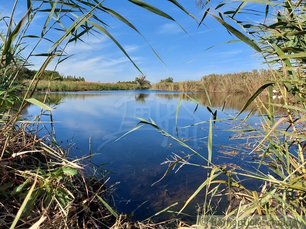 Poschodová chatka s vínnou pivnicou na vinohrade v obci Gbelce