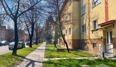PREDAJ-2 IZBOVÝ BYT-KOMÁRNO-BUDOVATEĽSKÁ ULICA
