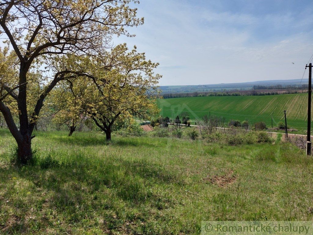 Rozľahlý pozemok na samote vhodný na stavbu blízko vinárskej dedinky Nová Vieska
