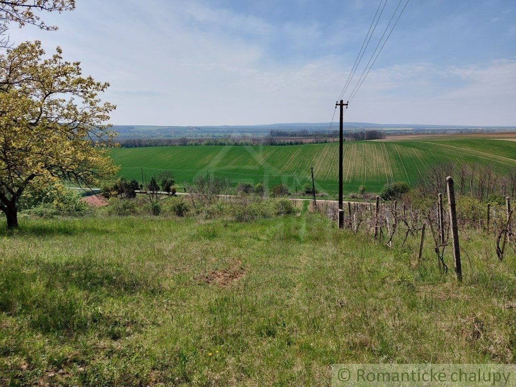 Rozľahlý pozemok na samote vhodný na stavbu blízko vinárskej dedinky Nová Vieska