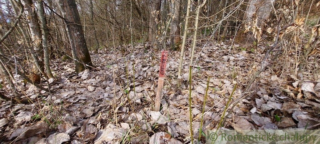 Slnečný pozemok v pripravovanej vidieckej zástavbe pod Chopkom - Dolná Lehota.