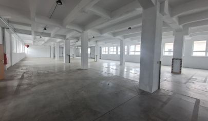 Prenajmeme nový sklad v Žiline na  o celkovej výmere 1150 m2.