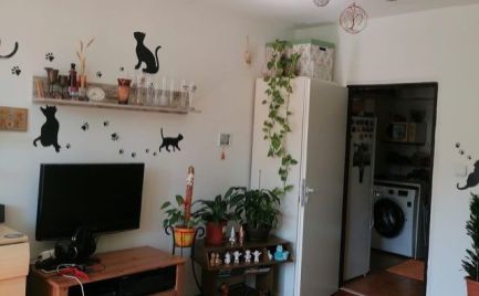 2 izbový byt s dvomi loggiami v centre mesta Malacky, Mierové Námestie!!!