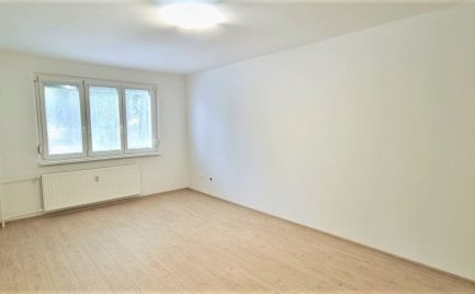 Veľký 1- izbový byt na predaj v Dunajskej Strede