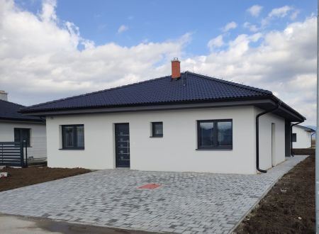 NOVOSTAVBA Rodinný dom Starý Tekov / murovaný