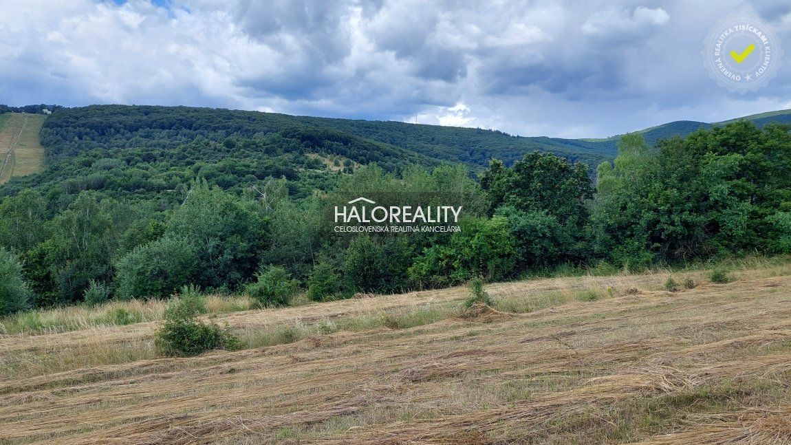 HALO reality - Prenájom, priestor Košice Kavečany, POZEMOK - EXKLUZÍVNE HALO REALITY