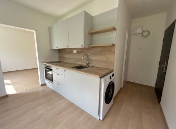 Nadštandardný krásny 1-izbový byt po čerstvej rekonštrukcii