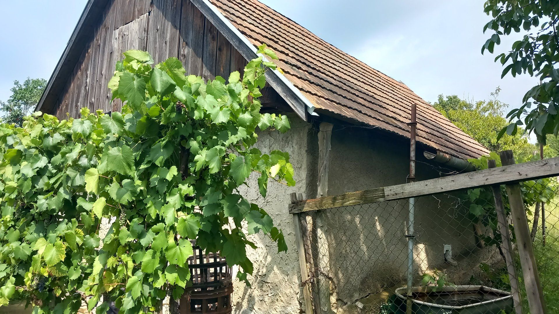 Vinica a viničný domček pri rieke Ipeľ.