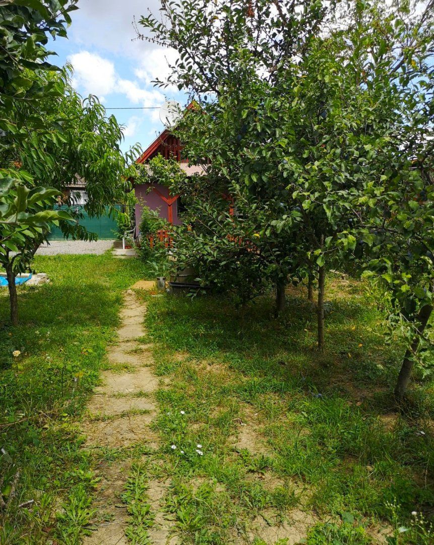 Na predaj záhradná chatka v obci Kráľová nad Váhom – skvelá príležitosť pre oddych