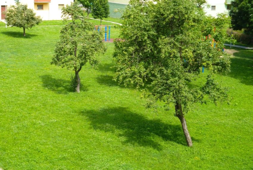 Predaj 4 izbový byt Lučenec-15