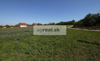 Predáme rekreačno-hospodársky pozemok o výmere 10.000 m² Skalica - Špety