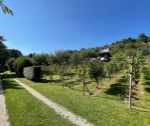 Záhradná chatka s pozemkom 1193 m2, udržiavaná vinica, okr. Nové Mesto nad Váhom / ZO Pod Veselou horou
