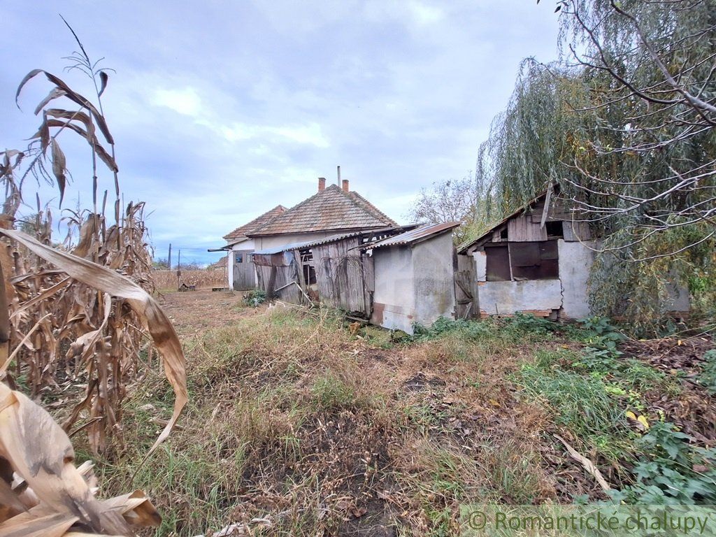 Priestranný dom s rozľahlým pozemkom na okraji obce Bátorove Kosihy