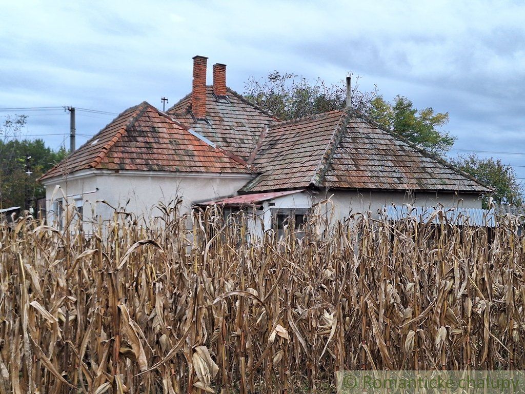 Priestranný dom s rozľahlým pozemkom na okraji obce Bátorove Kosihy