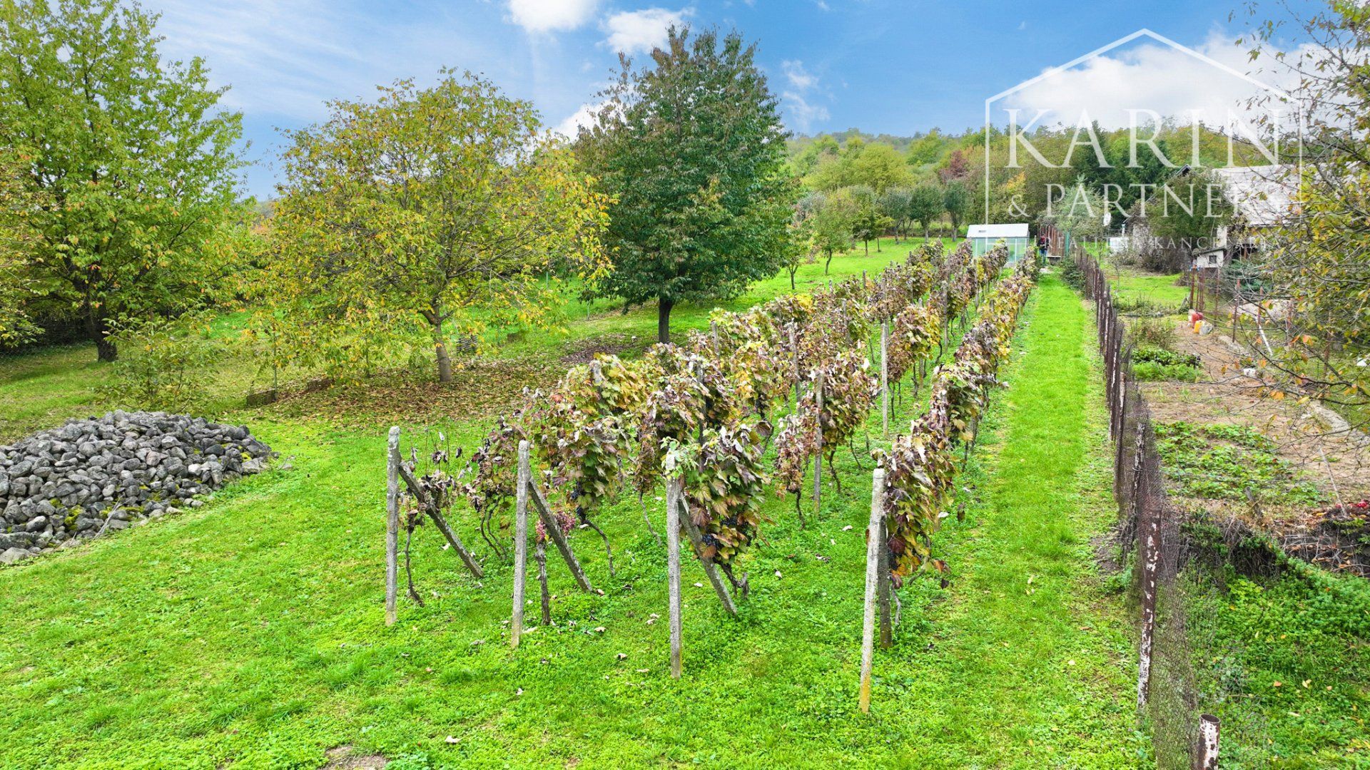 Pozemok na výstavbu s viničom blízko Dudiniec v obci Hontianske Tesáre