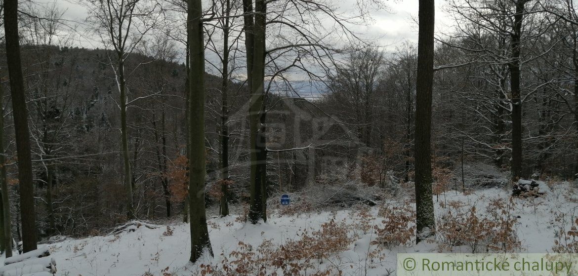 Horská chata na samote v katastri obce Pravenec na predaj