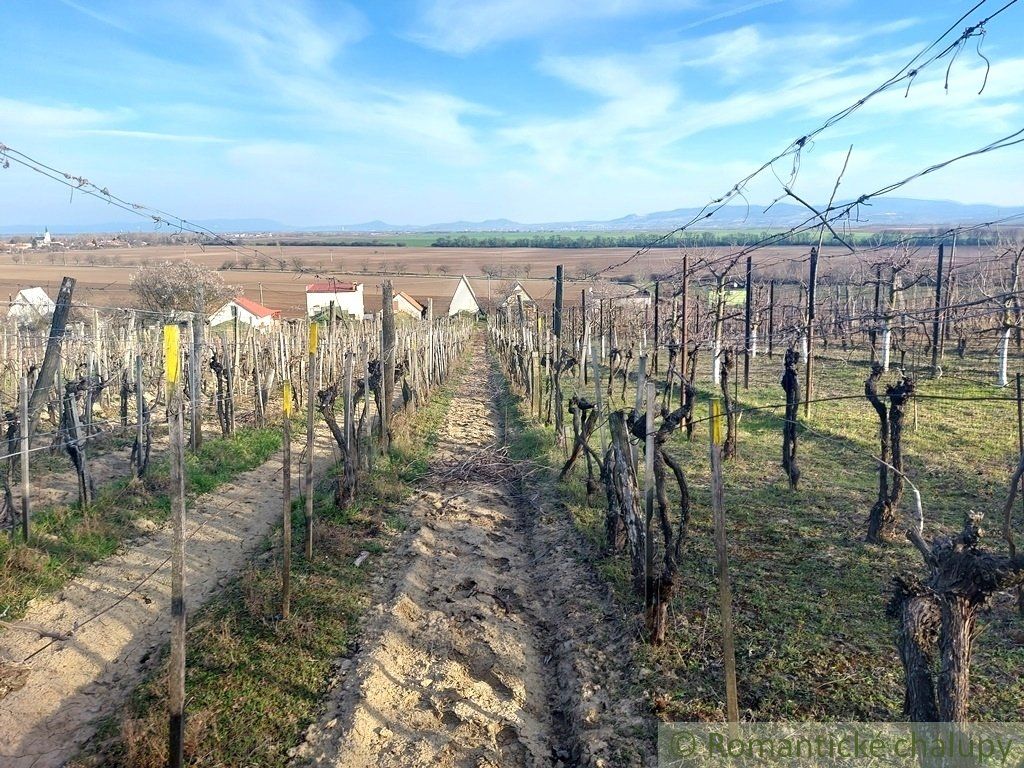 Dvojposchodová chatka s vinohradom na okraji obce Bátorové Kosihy