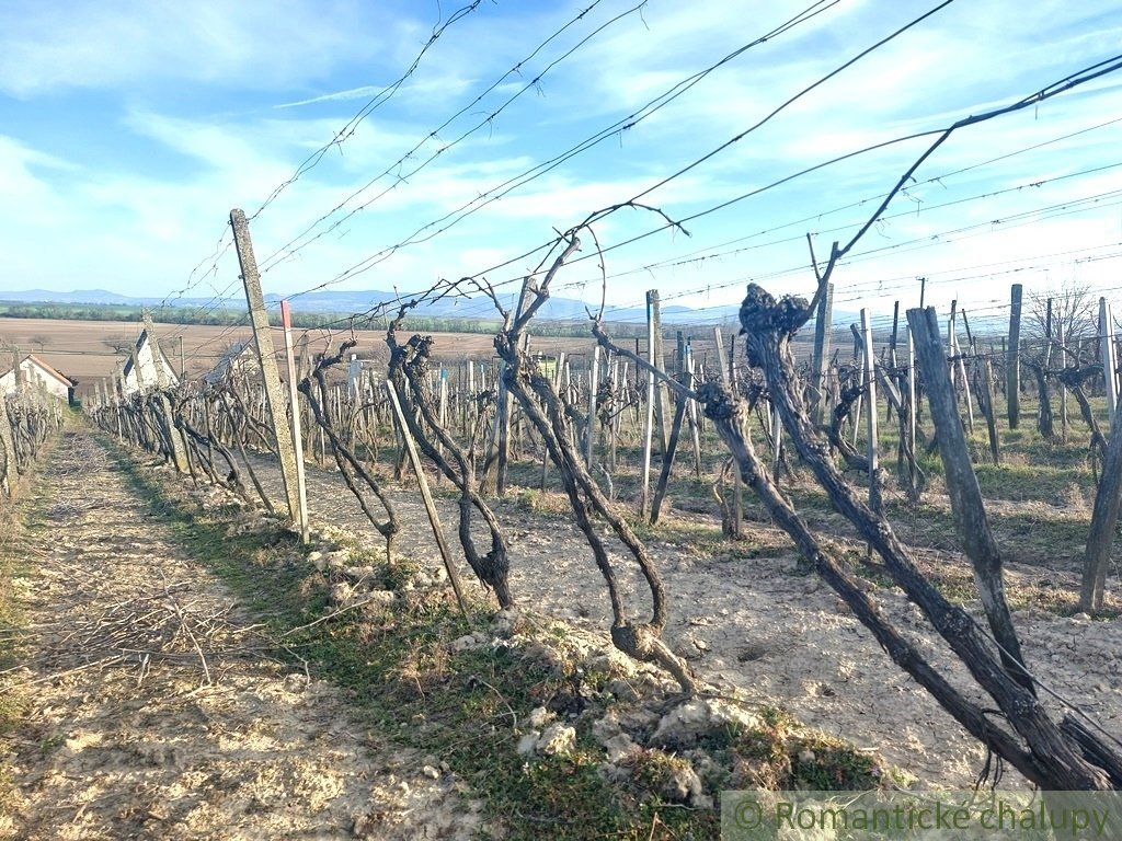 Dvojposchodová chatka s vinohradom na okraji obce Bátorové Kosihy