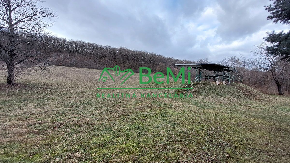 Predaj - Poľovnícka chata so strelnicou v okrese Hlohovec - ID 162-13-LUGU