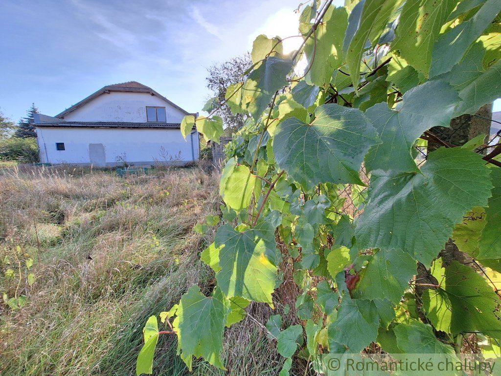 Priestranný dom na rôzne účely len 180 m od pláže a cyklotrasy v podunajskej dedinke Kravany nad Dunajom