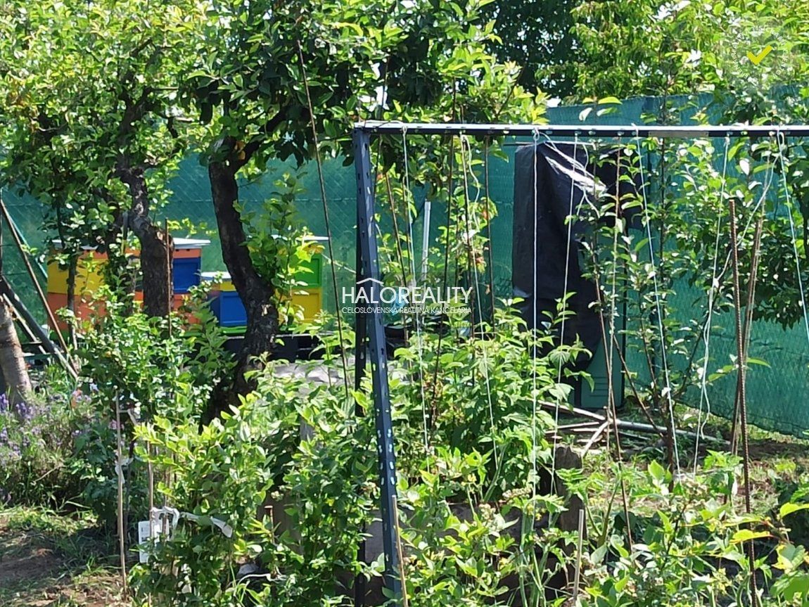 HALO reality - Predaj, záhradný pozemok   249 m2 Trnava, Modranka