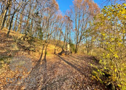 Neobvyklý rekreačný pozemok v Bošáci, 145a, polosamota - samota