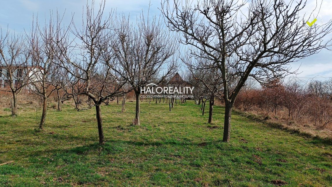 HALO reality - Predaj, rekreačný pozemok Žemberovce, s viničným domčekom - EXKLUZÍVNE HALO REALITY