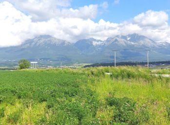 PREDAJ: STAVEBNÝ POZEMOK 597m2, VŠETKY SIETE, MLYNICA, TATRY