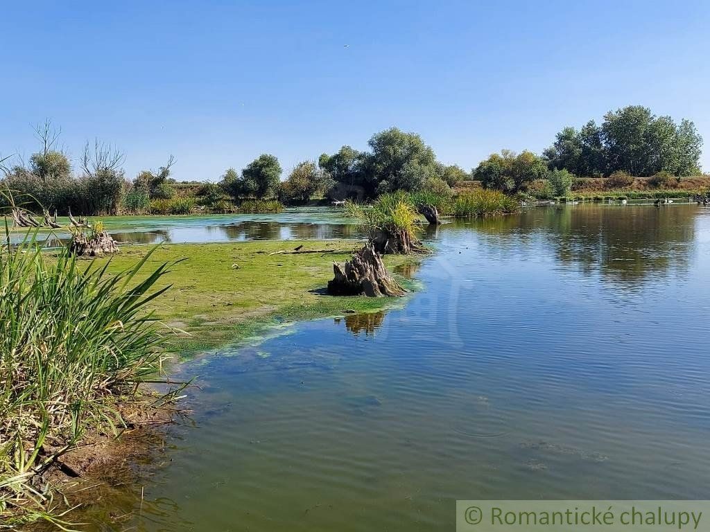 Veľký pozemok so starším rodinným domom v obci Martovce