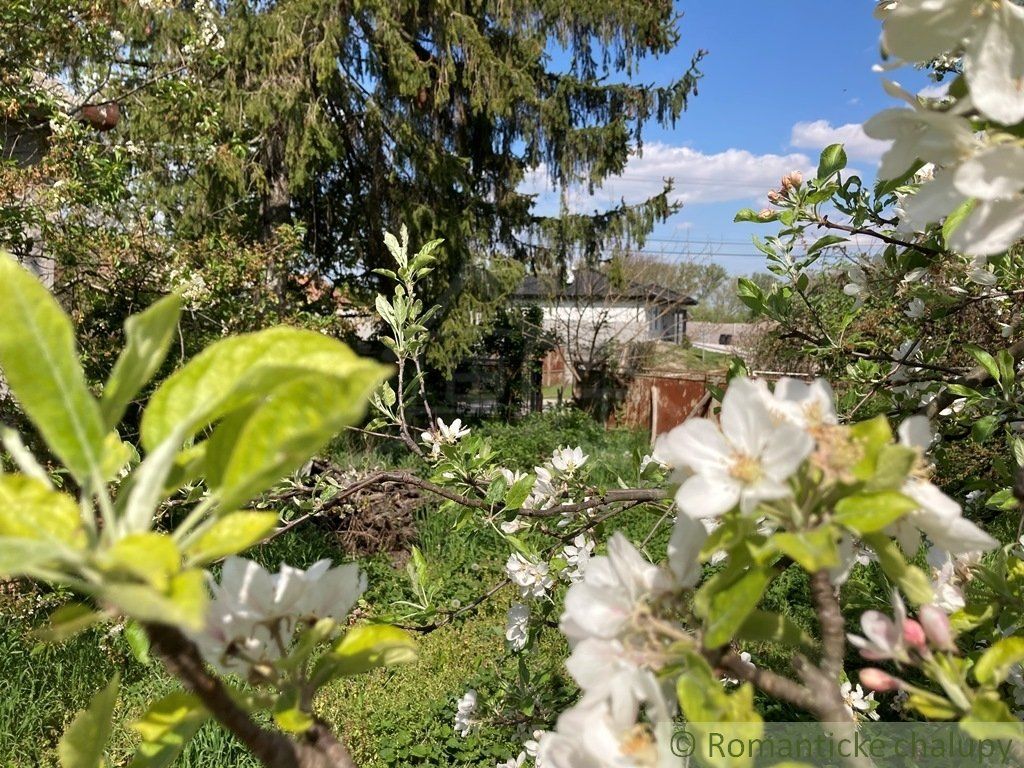 Veľký pozemok so starším rodinným domom v obci Martovce