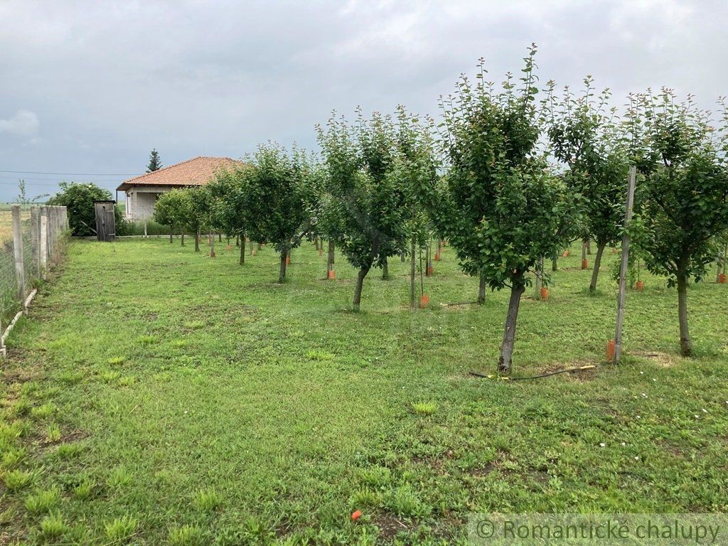 Priestranný stavebný pozemok s krásnym ovocným sadom v obci Branovo