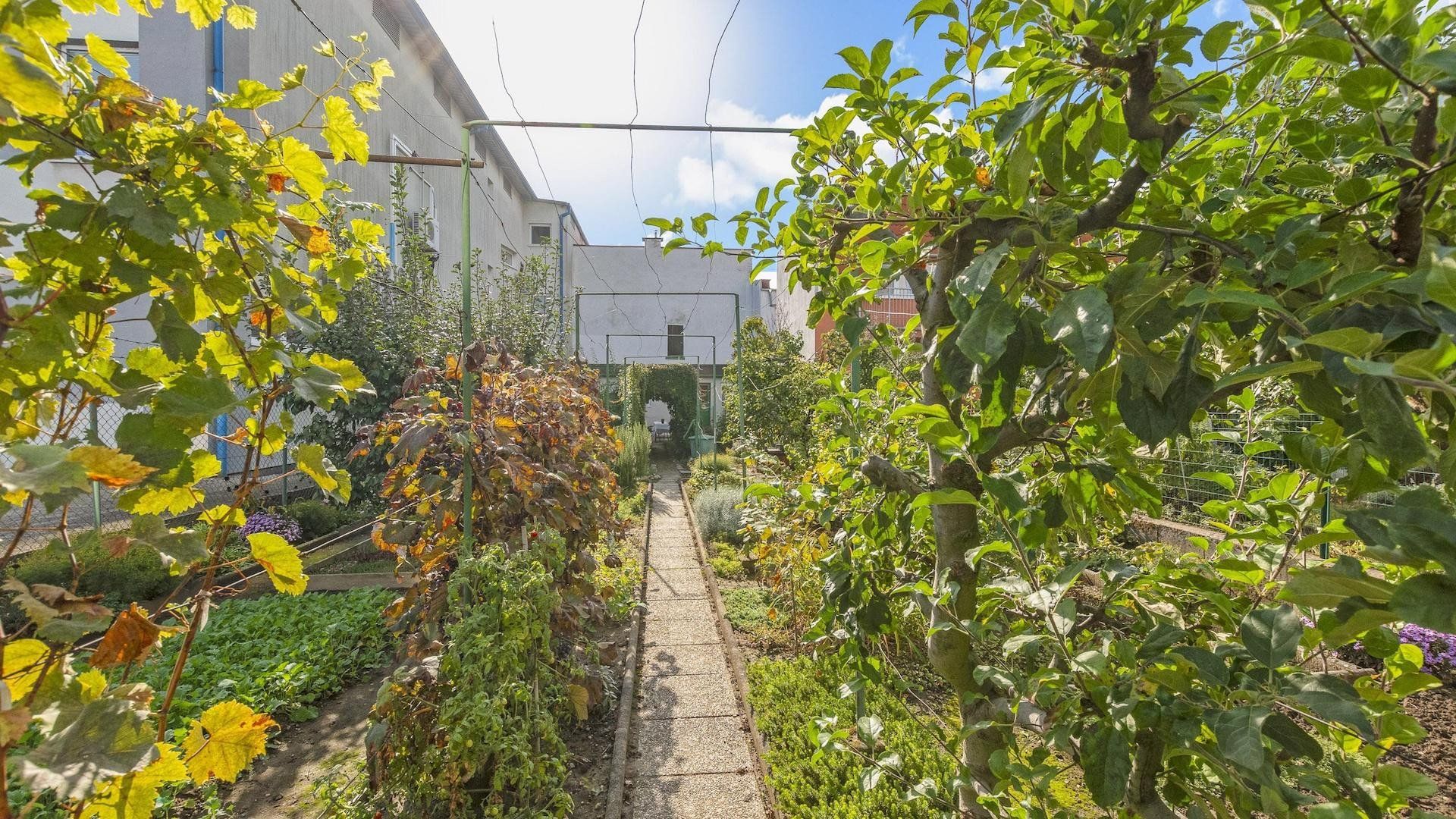 Rodinný dom so záhradou pri OC VIVO vhodný na investíciu