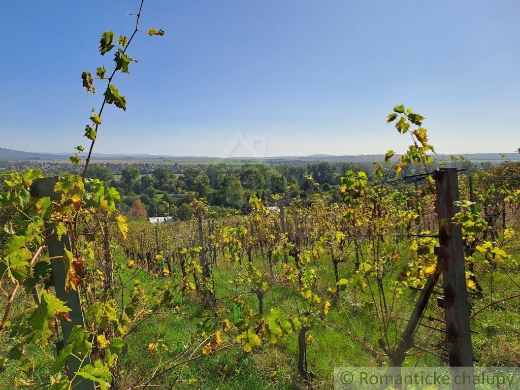 Vinica s ovocným sadom vo viničnej oblasti Zlatých Moraviec na predaj.