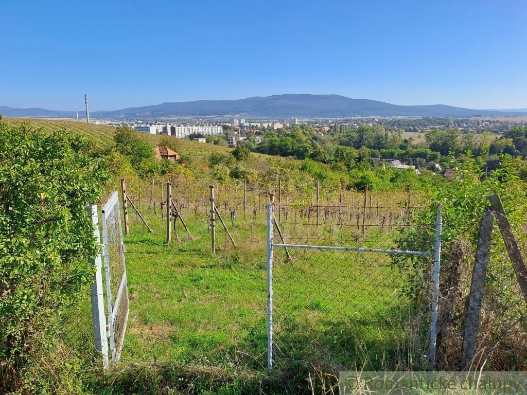 Vinica s ovocným sadom vo viničnej oblasti Zlatých Moraviec na predaj.