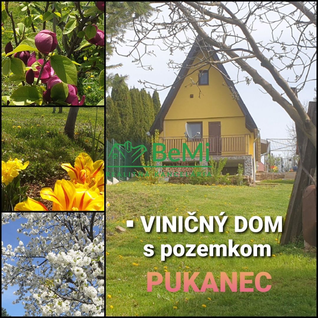 Rekreačná chata-Predaj-Pukanec-79000.00 €